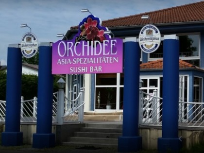 Foto: Orchidee